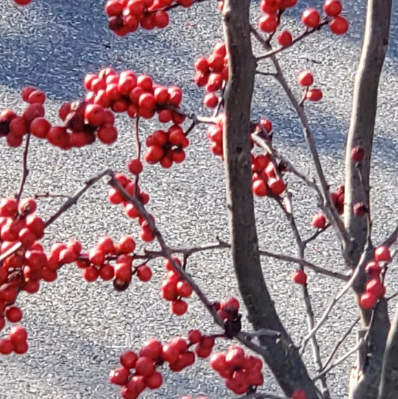 Meet your Posher, D. - Picture 1 of 1